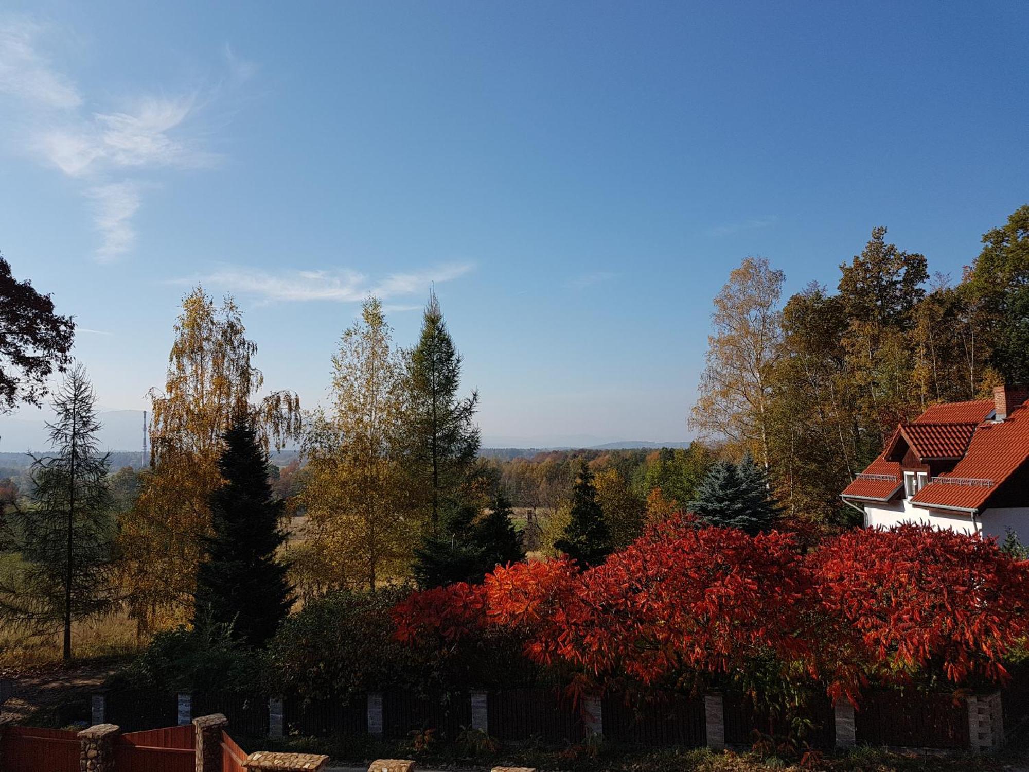 Sarna Karkonosze Apartment Bukowiec  Екстериор снимка